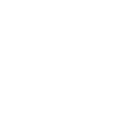 Dollar Tree
