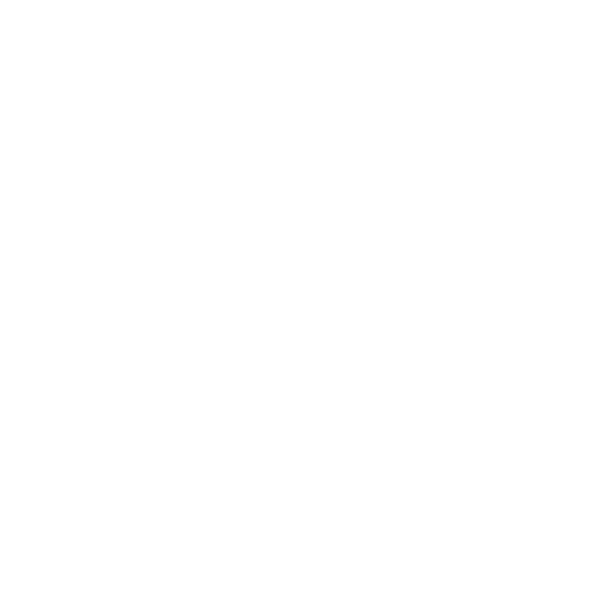 Sailun Tire